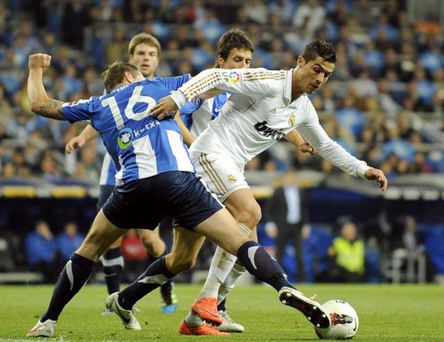 英级别的协 英级别的协