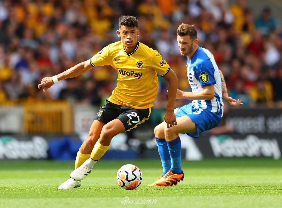 了良好的观 了良好的观